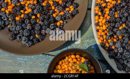 sunny still life of ripe blackberries and buckthorn Stock Photo