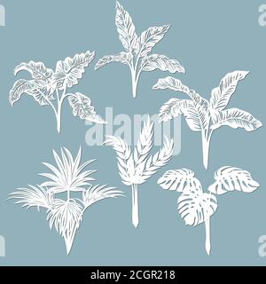 Set template for cutting. Palm leaves pattern. Laser cut. Vector illustration.. Stock Vector