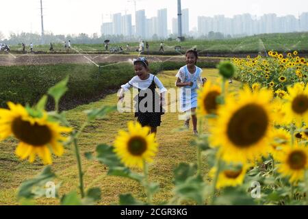 Hefei, China's Anhui Province. 12th Oct, 2016. Wang Guanghai arranges ...