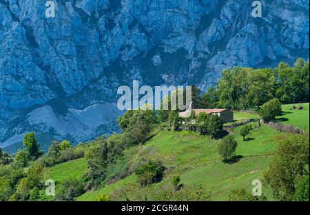 Tejo - European yew (Taxus baccata) and Chapel of Santa María in Bermiego in the Quirós council, in the Las Ubiñas-La Mesa Natural Park. Asturias. Spa Stock Photo