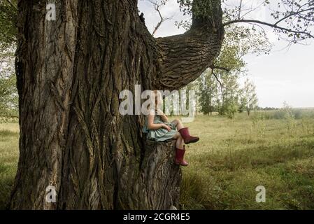 Little girl sitting on a very big tree Stock Photo