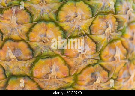 close up of fresh ripe pineapple bark texture background Stock Photo