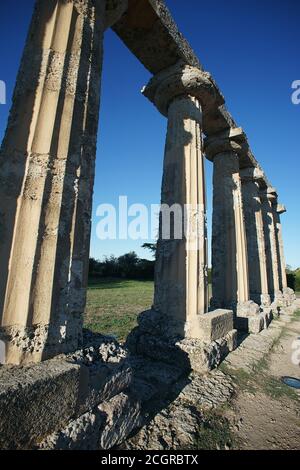 Doric Greek Temple, The 'Tavole Palatine' at Metaponto, Hera Sanctuary in Metaponto, Bernalda, province of Matera, Basilicata, Italy Stock Photo