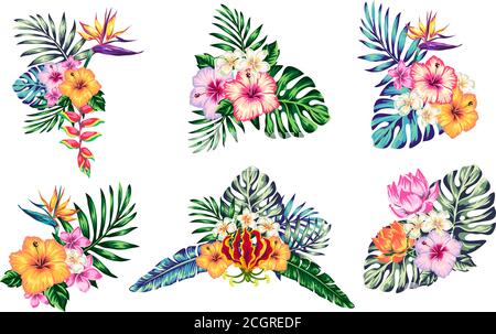 tropical composition from flowers leaves of polma hibiscus and elements for your design on a white background. template for stories and illustration s Stock Vector
