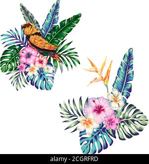 tropical composition from flowers leaves of polma hibiscus and elements for your design on a white background. template for stories and illustration s Stock Vector