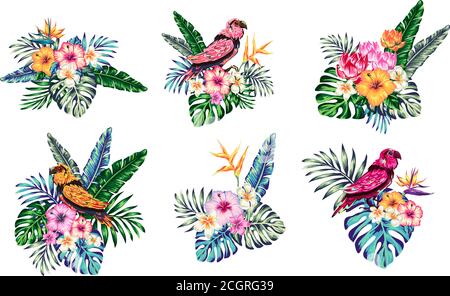 tropical composition from flowers leaves of polma hibiscus and elements for your design on a white background. template for stories and illustration s Stock Vector