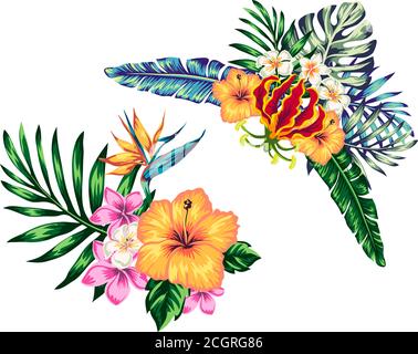 tropical composition from flowers leaves of polma hibiscus and elements for your design on a white background. template for stories and illustration s Stock Vector