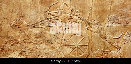 Assyrian wall relief of lion hunt, king Ashurbanipal with warriors on carving from Middle East and Mesopotamia. History of past civilization of Iran a Stock Photo