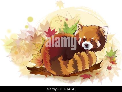 Vector illustration of red panda cartoon style. Vector Illustrated Portrait of Red Panda also called Red Bear-Cat. Stock Vector