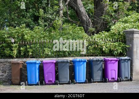 Wheelie bin colour blue, purple and black for refuge collection outside house in a row Stock Photo