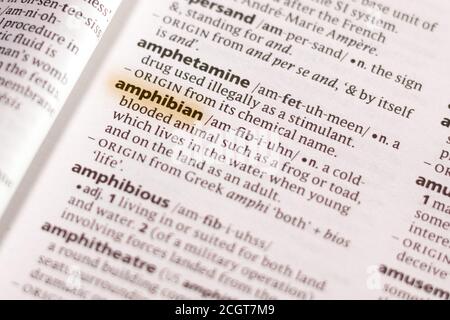 The word or phrase Amphibian in a dictionary highlighted with marker. Stock Photo