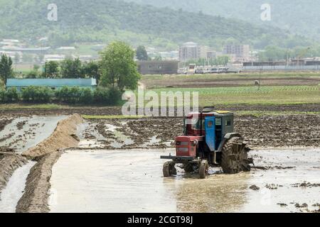 Agriculture in North Korea Stock Photo