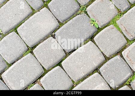 The grass grows through the stones of the paving stones. Stock Photo