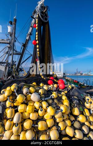 Purse seine net commercial fishing Port of Los Angeles, San Pedro,  California Stock Photo - Alamy
