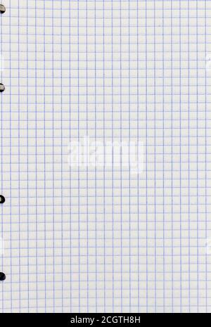 Sheet of a notebook in a cage. Blank sheet in a cell background. Blue ruling. Stock Photo