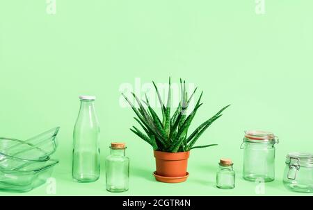 Plastic-free household objects and green plant isolated on green background. Sustainability concept. Reusable glass containers. Sustainable lifestyle Stock Photo