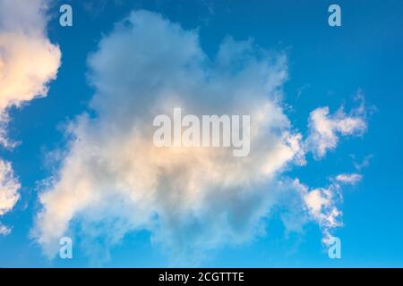 Fluffy cumulus clouds in the evening light against blue sky. Suitable as background or wallpaper. Stock Photo