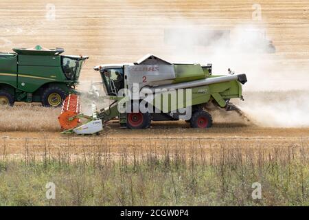 Combined harvester collects the crop residues on the cutover field during harvesting. Stock Photo