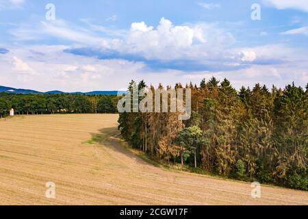 Bird's eye view of forest dieback in a European coniferous forest Stock Photo