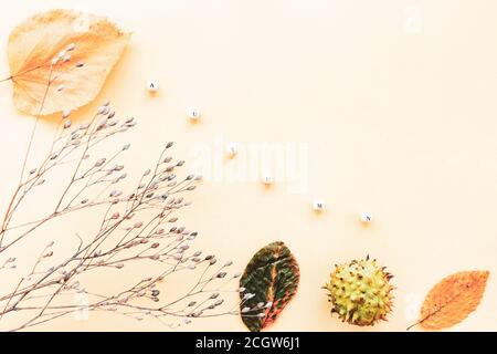 Autumnal composition with dried flowers, leaves and chestnuts on a yellow background. The inscription Autumn. Top view, flat lay, copy space. Stock Photo