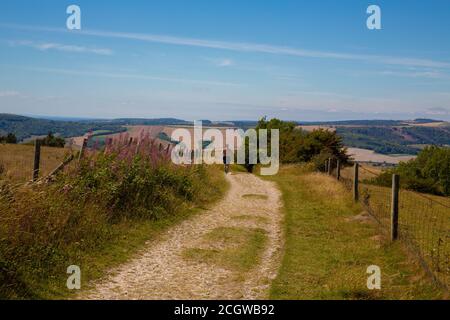 Keeping fit and happy, running on the downland tracks Summer 2020 West Sussex, Stock Photo