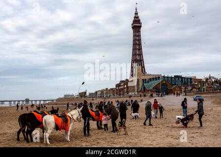 Blackpool, Lancashire, United Kingdom. 12th Sep, 2020. Donkeys rides on the beach in front of the Blackpool Tower Credit: PN News/Alamy Live News Stock Photo