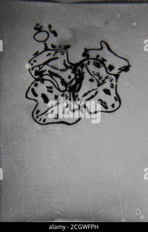 Fine 70s vintage black and white photography of a distorted and squeezed clock. Stock Photo