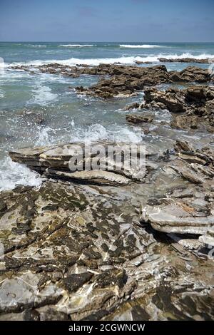 Sharp Rocks Beach Shore Ocean shore background - sharp stones covered in yellow-green algae ...