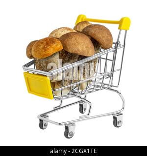 Fresh tasty wild mushrooms in the shopping cart. Organic orange-cap boletus. Creative vegan food concept. Isolated on white. Clipping path. Stock Photo