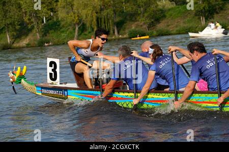 Prague, Czech Republic. 12th Sep, 2020. Koza Dragons' paddlers compete during the 23rd Prague Dragon Boat Festival in the Vltava River in Prague, Czech Republic, Sept. 12, 2020. Credit: Dana Kesnerova/Xinhua/Alamy Live News Stock Photo