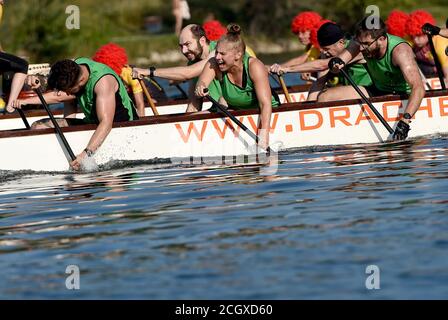 Vienna, Austria. 12th Sep, 2020. Conny's Dinomites' paddlers compete at the 2020 Vienna Danube Dragon Boat Cup in Vienna, Austria, Sept. 12, 2020. Credit: Guo Chen/Xinhua/Alamy Live News Stock Photo