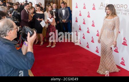 Venezuelan model Shannon de Lima poses on the red carpet for the 2017 tribute to Alejandro Saenz during the Latin Grammy celebrations, Las Vegas Stock Photo
