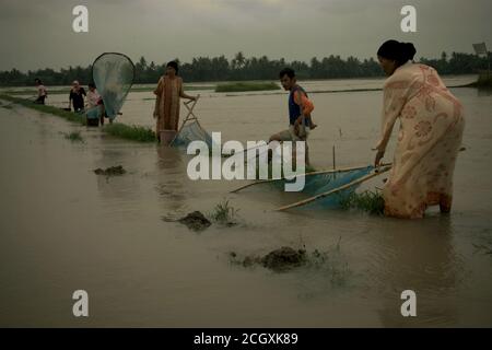 People fishing on a flooded rice field with pushnets during a rainy season which causing floods in Karawang regency, West Java province, Indonesia. Stock Photo