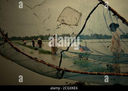 People fishing on a flooded rice field with pushnets during rainy season which causing floods in Karawang regency, West Java province, Indonesia. Stock Photo