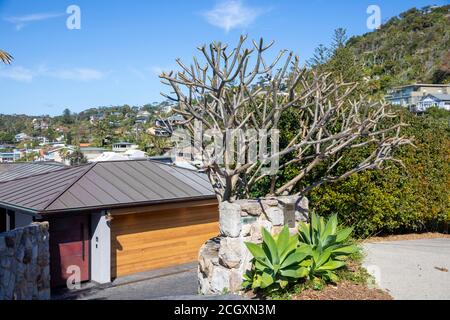 House and garage in the Sydney suburb of Whale beach on a sunny spring day,Sydney,Australia Stock Photo