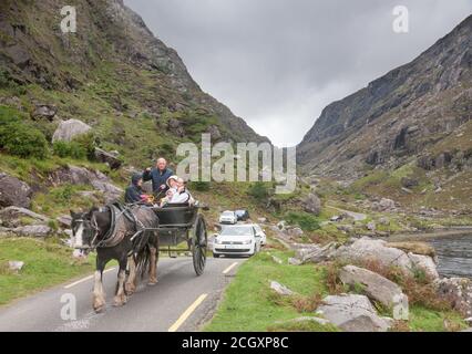 Gap of Dunloe, Killarney, Kerry, Ireland. 12th September, 2020. A family take a leisurely afternoon drive on a jaunting car followed by a stream of traffic through the narrow road at the Gap of Dunloe, Co. Kerry, Ireland.  - Credit; David Creedon / Alamy Live News Stock Photo