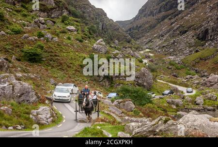 Gap of Dunloe, Killarney, Kerry, Ireland. 12th September, 2020. A family take a leisurely afternoon drive on a jaunting car followed by a stream of traffic through the narrow road at the Gap of Dunloe, Co. Kerry, Ireland.  - Credit; David Creedon / Alamy Live News Stock Photo