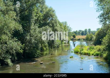 Moy-de-l'Aisne France - 30 July 2020 - Fishermen in Oise river in France Stock Photo