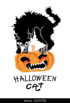 Scared Halloween black cat on pumpkin with handwritten of Halloween cat text on white background. vector illustration. Stock Vector
