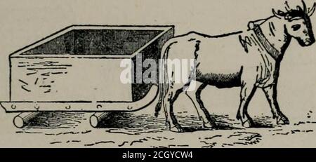 Primitive Vehicles . The science of railways . A primitive vehicle pictured on the walls ...