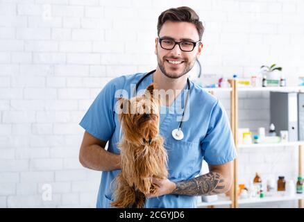 Portrait of cheerful veterinary doc holding cute Yorkshire terrier at animal clinic Stock Photo