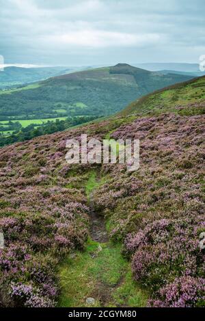 Beautiful landscape image of Bamford Edge in Peak District National Park during late Summer with heather in full blom Stock Photo