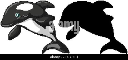 Killer whale characters and its silhouette on white background illustration Stock Vector