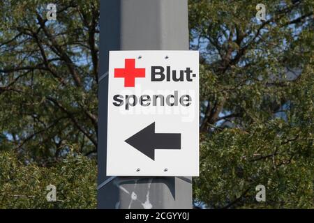Sign with direction arrow, blood donation, Potsdam, Brandenburg, Germany Stock Photo