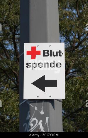 Sign with direction arrow, blood donation, Potsdam, Brandenburg, Germany Stock Photo