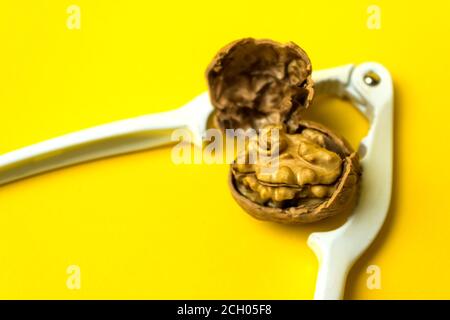 Close up of Walnut And Nutcracker. Freshly cracked walnut in nutcracker on yellow background with copy space Stock Photo
