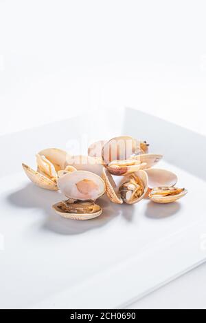 Group of clams on a squared plate against a white background Stock Photo