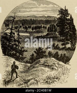 . The Pacific tourist : Adams & Bishop's illustrated trans-continental guide of travel, from the Atlantic to the Pacific Ocean ... : a complete traveler's guide of the Union and Central Pacific railroads ... . fined to a re-gion of territorylying betweenthe forks of theCheyenne river.In addition tothe gulch andplacer diggings,already discov-ered, there havebeen a few dis-coveries of whatappears to berich quartz lodesof gold and veinsof silver. Thisregion is aboutone hundredmiles long andeighty mileswide. FrenchCreek, SpringCreek, RapidCreek, Box-elderCreek,Elk Creekand others headin these Hill Stock Photo
