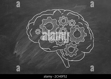 Human brain with cogwheels hand drawn in chalk on a blackboard. Stock Photo