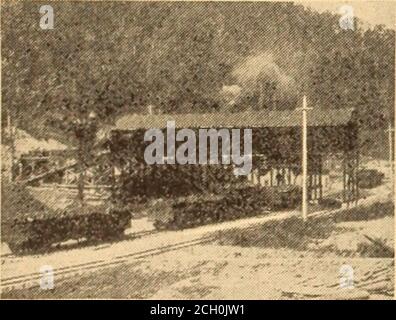 Bituminous Coal Vein Stock Photo - Alamy